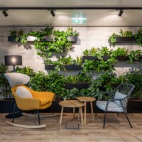Grüne Social-Area im Büro
